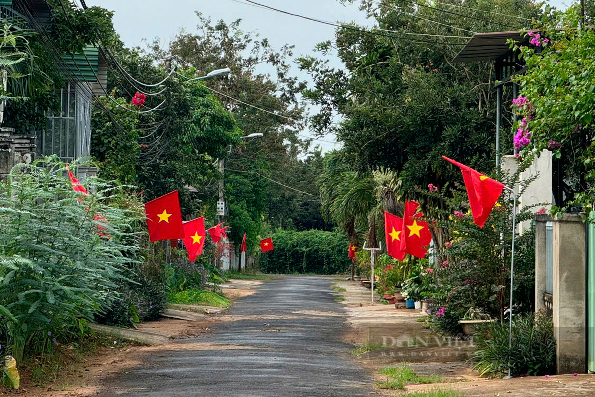 Hình ảnh Buôn Ma Thuột rực rỡ sắc cờ Tổ quốc, sẵn sàng chào đón kỷ niệm 120 năm Đắk Lắk - Ảnh 10.